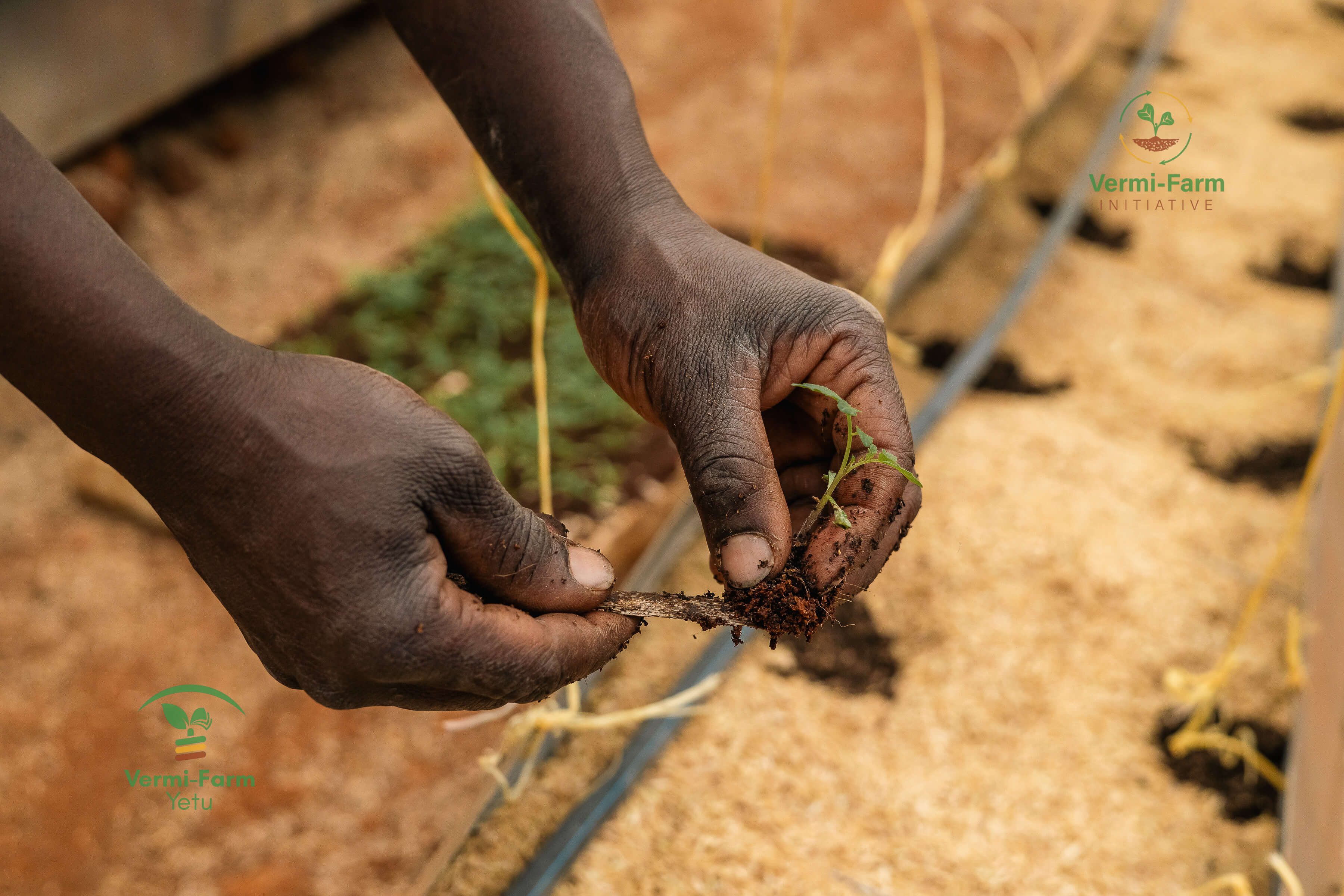 Vari Farm Vermi-Farm Initiative - Empowering Smallholder Farmers