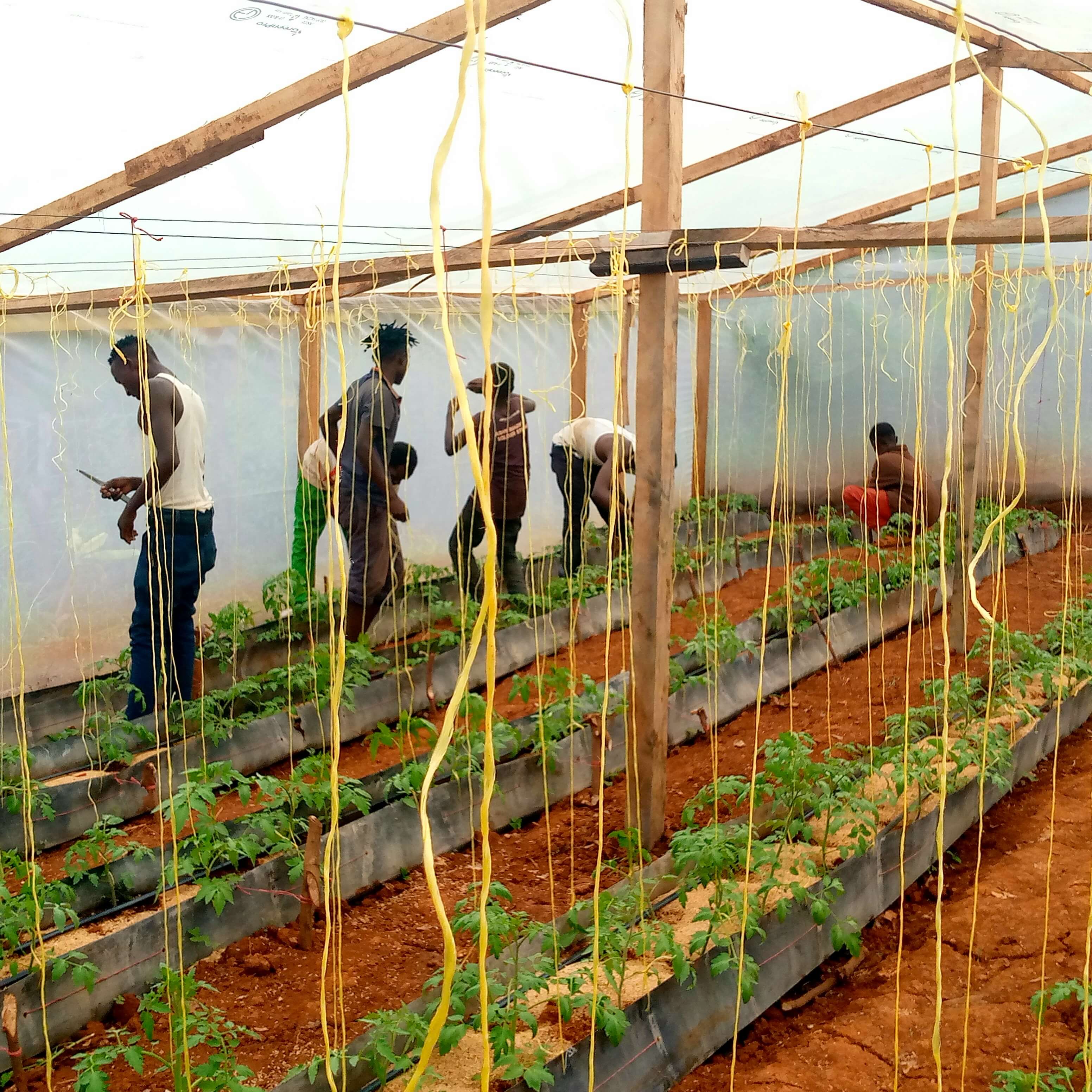 Vari Farm Vermi-Farm Initiative - Empowering Smallholder Farmers